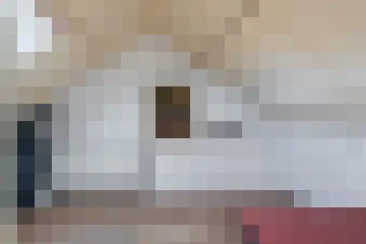 Hazzeleger 8 Hurdegaryp thumbnail 47