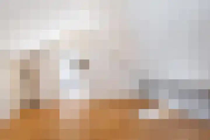 Hazzeleger 8 Hurdegaryp thumbnail 49