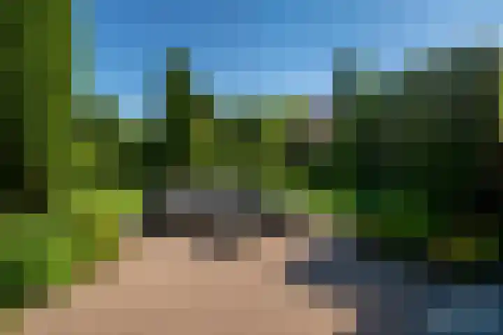 Hazzeleger 8 Hurdegaryp thumbnail 5