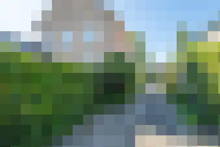 Hazzeleger 8 Hurdegaryp thumbnail 53