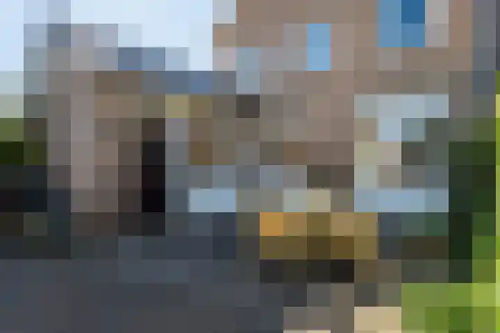 Hazzeleger 8 Hurdegaryp thumbnail 55