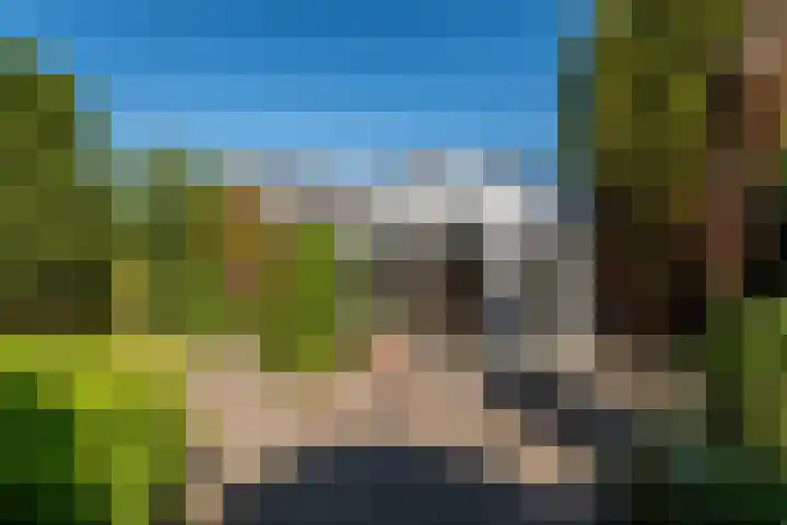 Hazzeleger 8 Hurdegaryp thumbnail 57