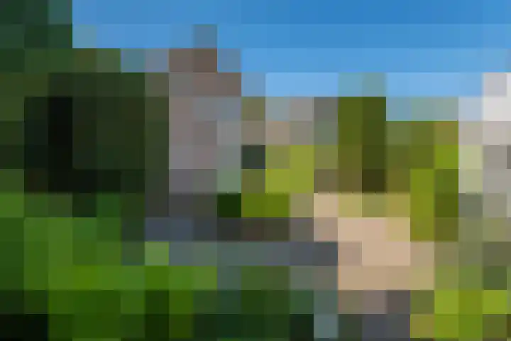 Hazzeleger 8 Hurdegaryp thumbnail 58