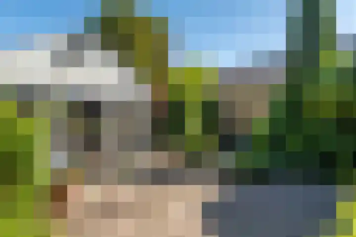 Hazzeleger 8 Hurdegaryp thumbnail 59