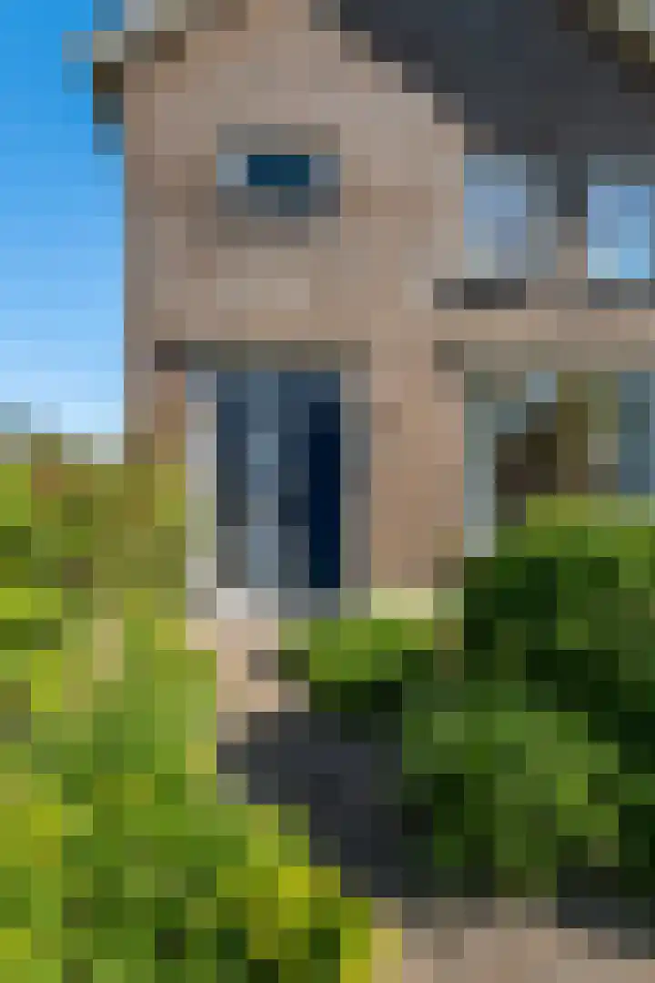 Hazzeleger 8 Hurdegaryp thumbnail 6