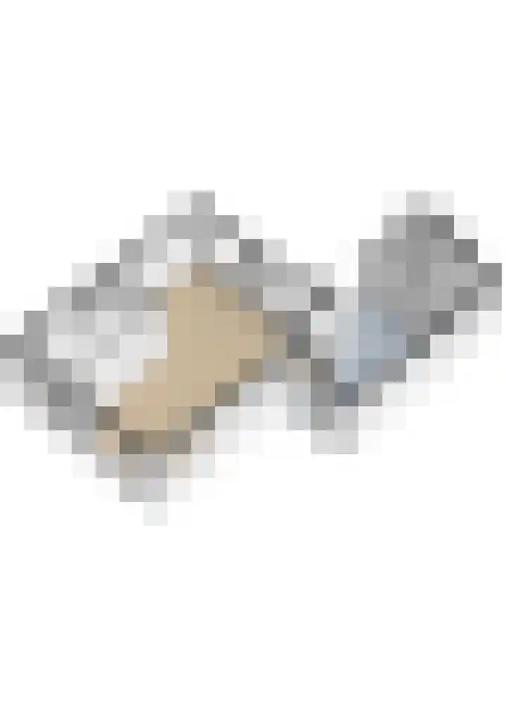 Hazzeleger 8 Hurdegaryp thumbnail 65