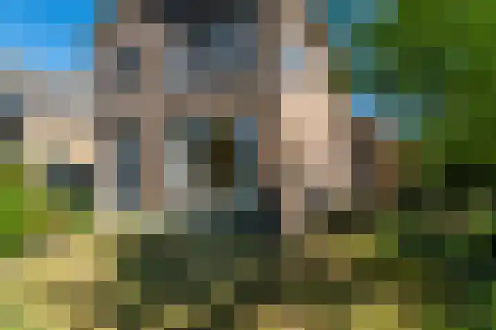 Hazzeleger 8 Hurdegaryp thumbnail 7