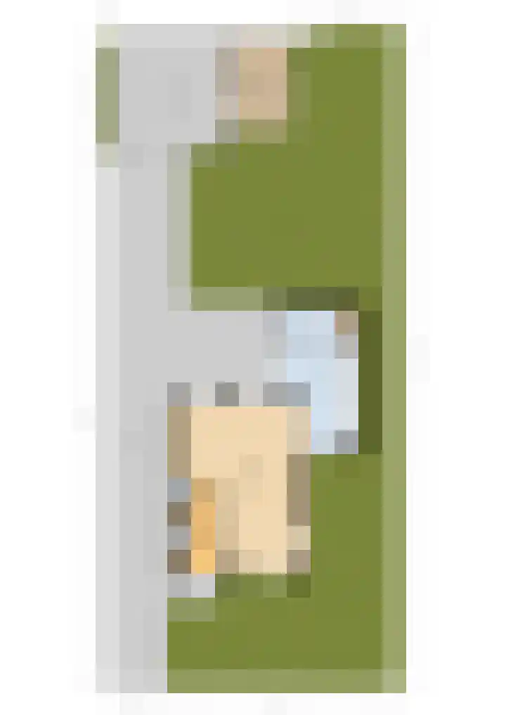 Hazzeleger 8 Hurdegaryp thumbnail 72