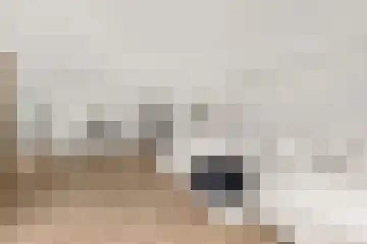 Hazzelnútstrjitte 1 Stiens thumbnail 10
