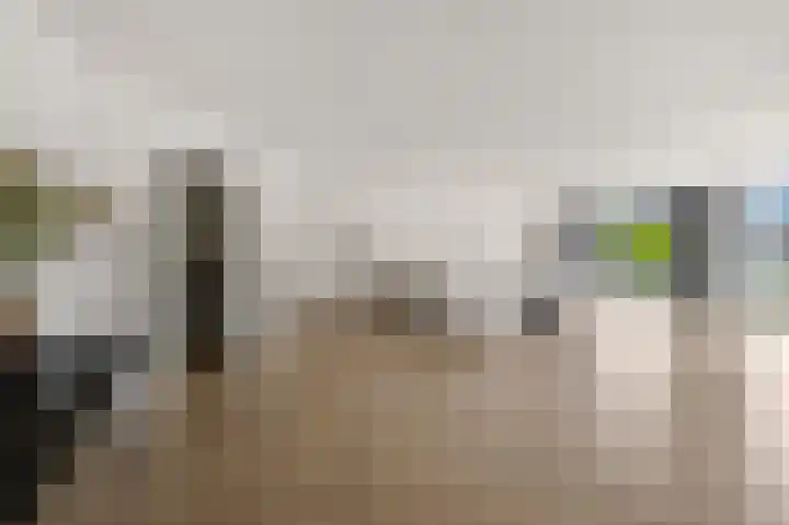 Hazzelnútstrjitte 1 Stiens thumbnail 11