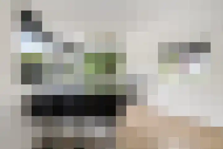Hazzelnútstrjitte 1 Stiens thumbnail 15