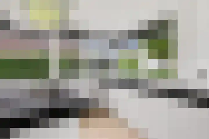 Hazzelnútstrjitte 1 Stiens thumbnail 16