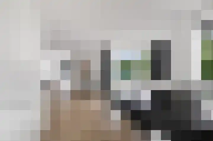 Hazzelnútstrjitte 1 Stiens thumbnail 17