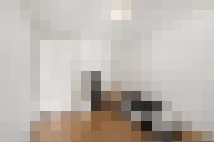 Hazzelnútstrjitte 1 Stiens thumbnail 19