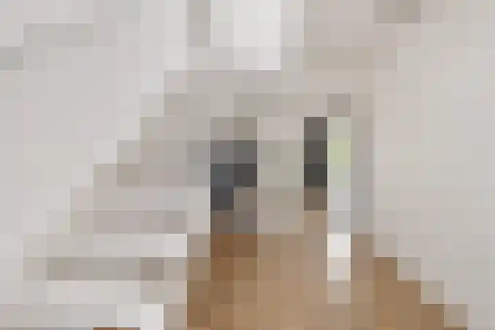 Hazzelnútstrjitte 1 Stiens thumbnail 21