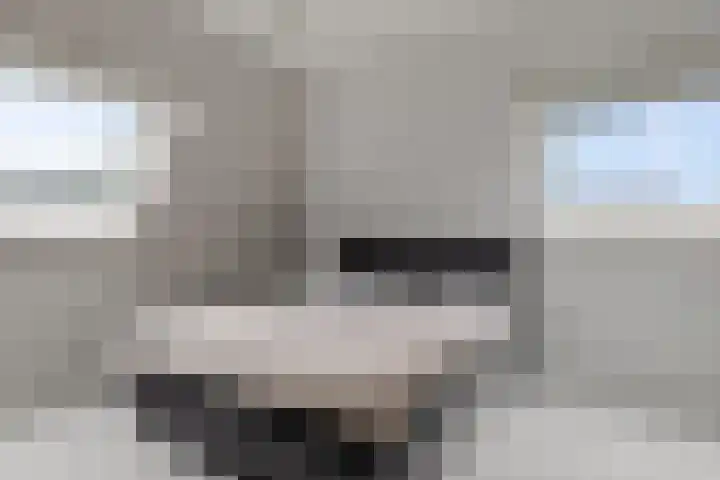 Hazzelnútstrjitte 1 Stiens thumbnail 23