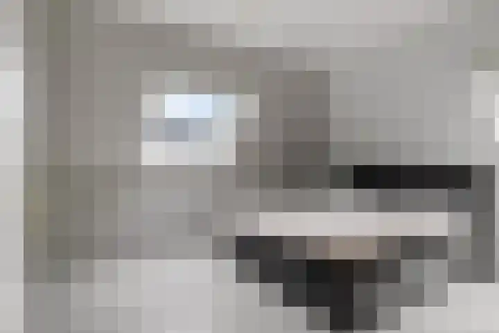 Hazzelnútstrjitte 1 Stiens thumbnail 24