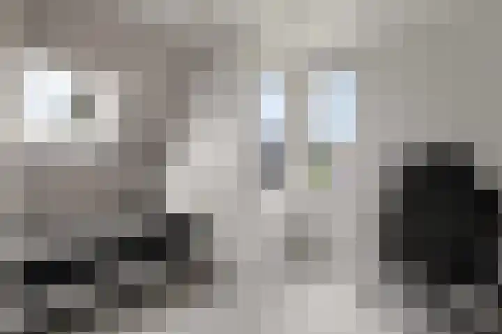 Hazzelnútstrjitte 1 Stiens thumbnail 25