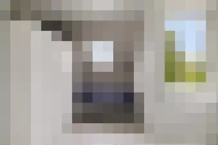 Hazzelnútstrjitte 1 Stiens thumbnail 26