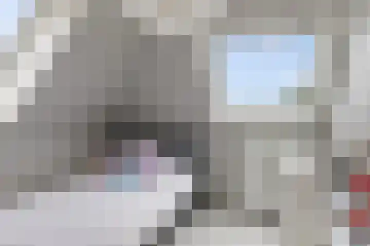 Hazzelnútstrjitte 1 Stiens thumbnail 28