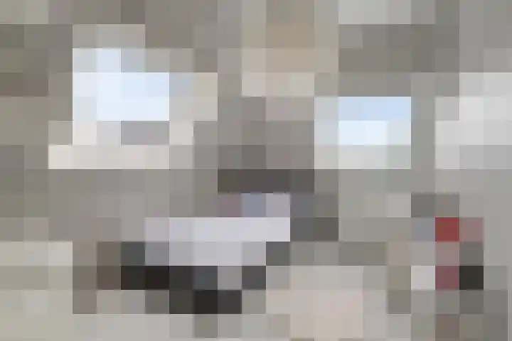 Hazzelnútstrjitte 1 Stiens thumbnail 29