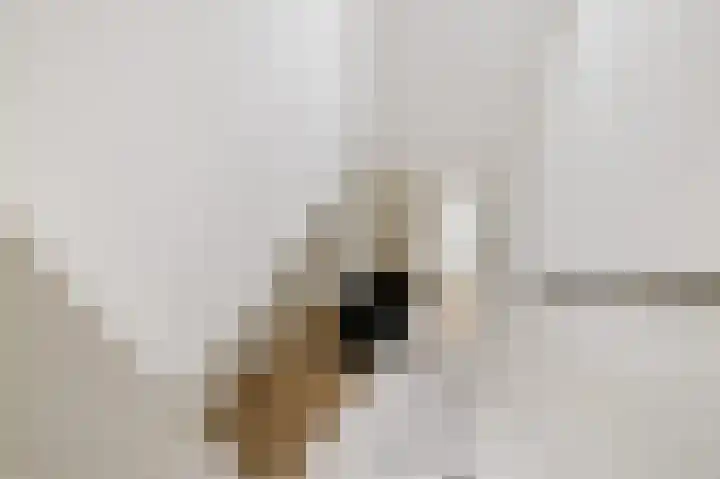 Hazzelnútstrjitte 1 Stiens thumbnail 30
