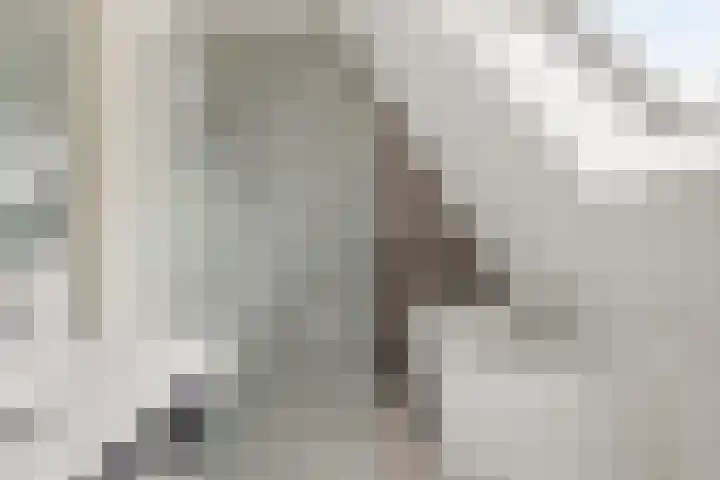 Hazzelnútstrjitte 1 Stiens thumbnail 31