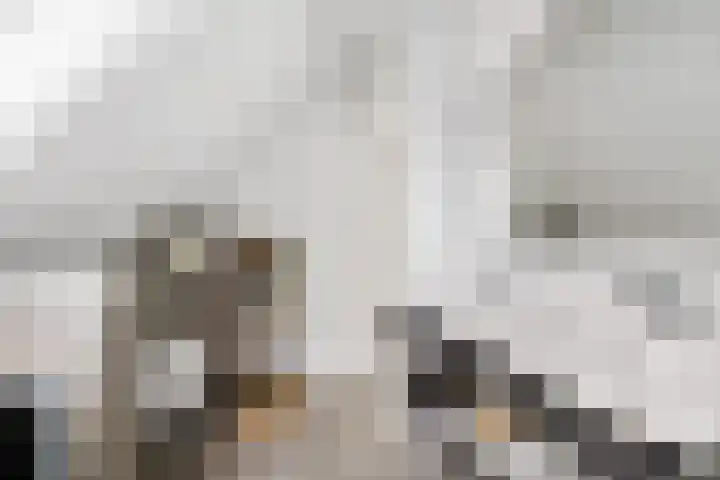 Hazzelnútstrjitte 1 Stiens thumbnail 32