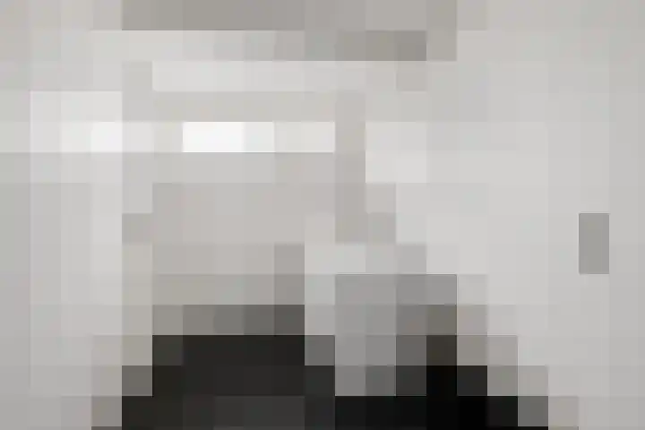 Hazzelnútstrjitte 1 Stiens thumbnail 34