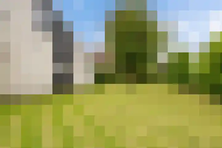 Hazzelnútstrjitte 1 Stiens thumbnail 35