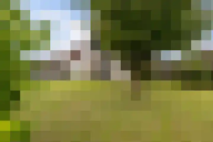 Hazzelnútstrjitte 1 Stiens thumbnail 36