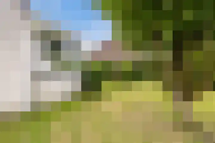 Hazzelnútstrjitte 1 Stiens thumbnail 37