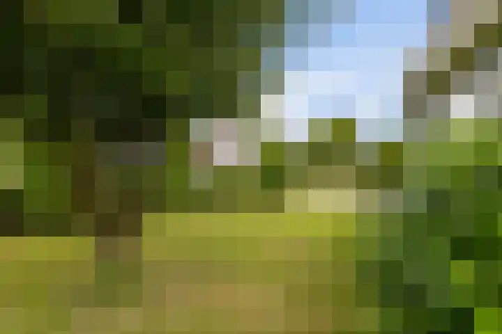 Hazzelnútstrjitte 1 Stiens thumbnail 38