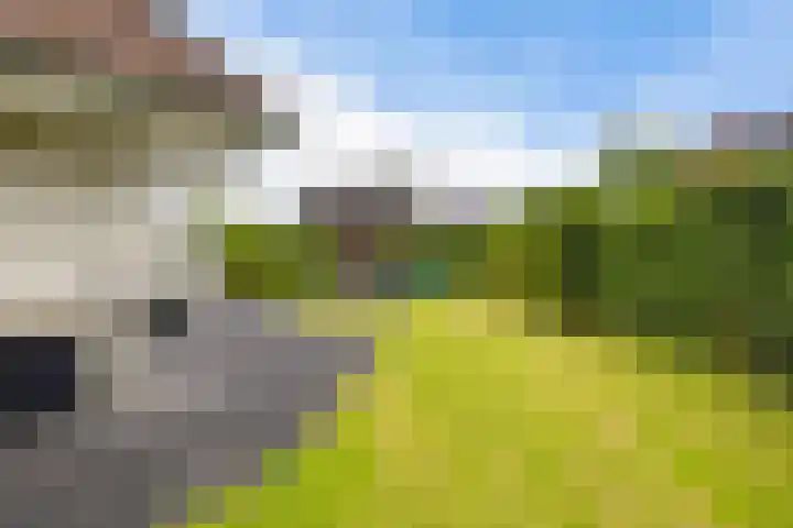 Hazzelnútstrjitte 1 Stiens thumbnail 39