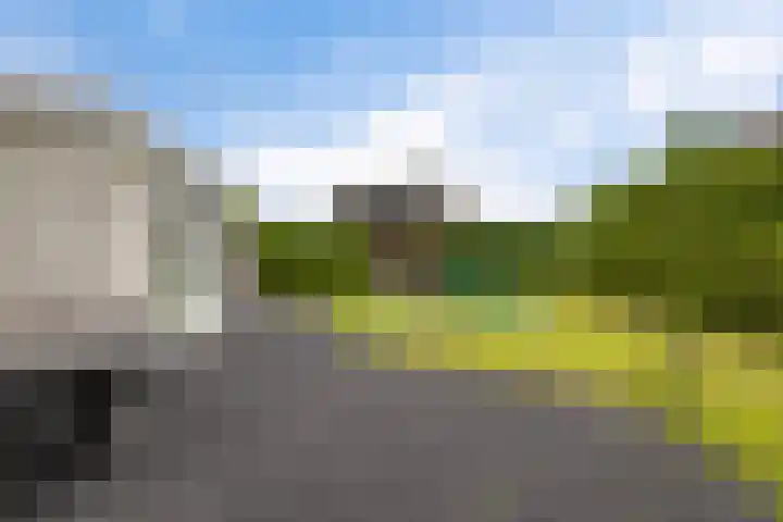 Hazzelnútstrjitte 1 Stiens thumbnail 40
