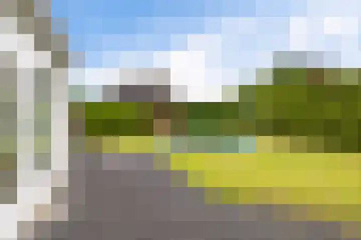 Hazzelnútstrjitte 1 Stiens thumbnail 41