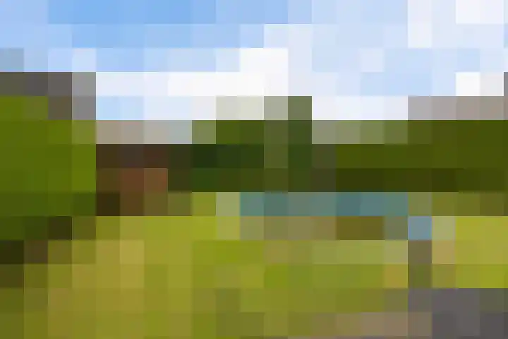 Hazzelnútstrjitte 1 Stiens thumbnail 42
