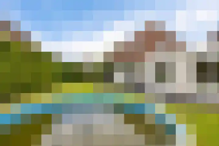 Hazzelnútstrjitte 1 Stiens thumbnail 43