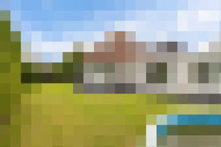 Hazzelnútstrjitte 1 Stiens thumbnail 44