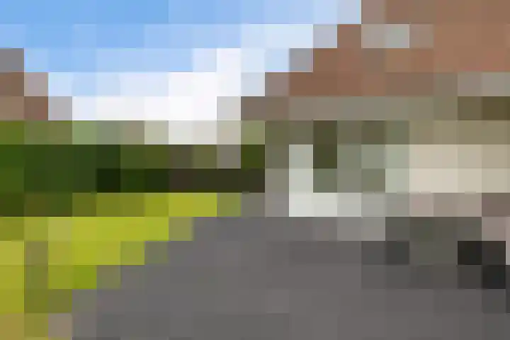 Hazzelnútstrjitte 1 Stiens thumbnail 45
