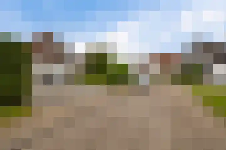 Hazzelnútstrjitte 1 Stiens thumbnail 46