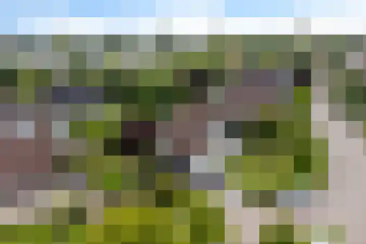 Hazzelnútstrjitte 1 Stiens thumbnail 47