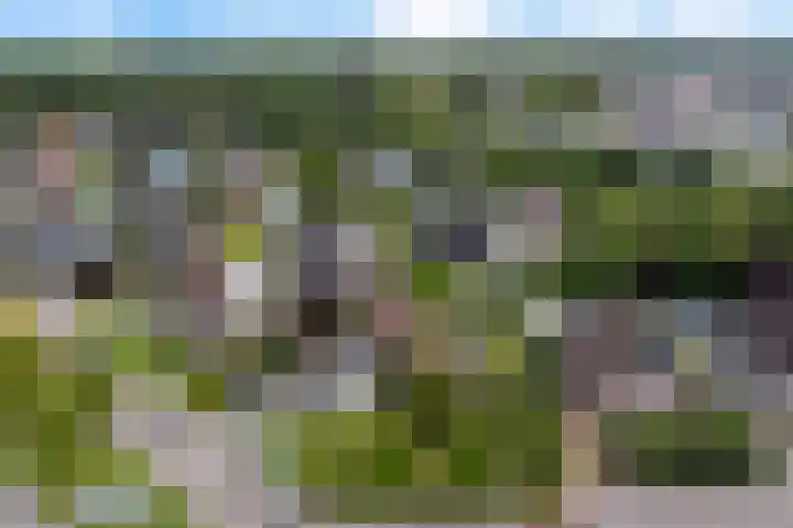 Hazzelnútstrjitte 1 Stiens thumbnail 49