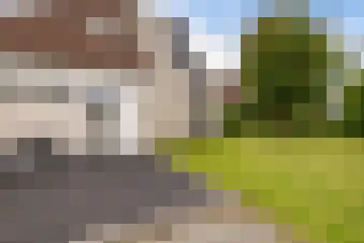 Hazzelnútstrjitte 1 Stiens thumbnail 5