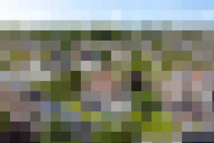 Hazzelnútstrjitte 1 Stiens thumbnail 50
