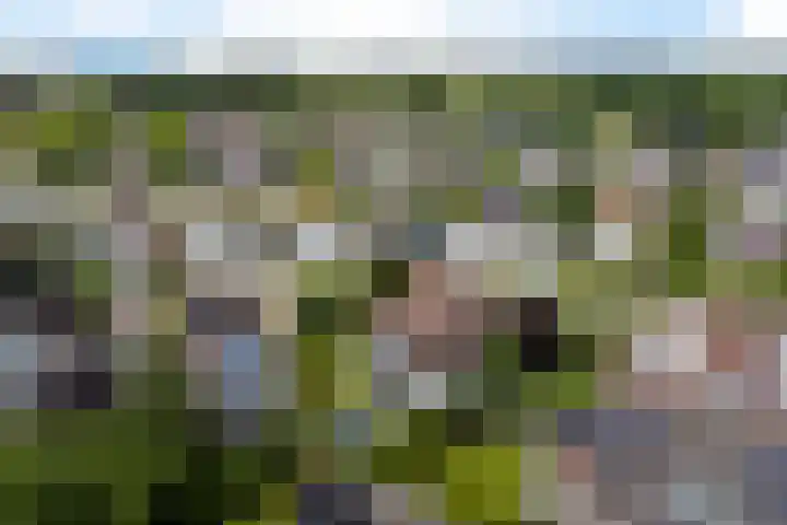 Hazzelnútstrjitte 1 Stiens thumbnail 51