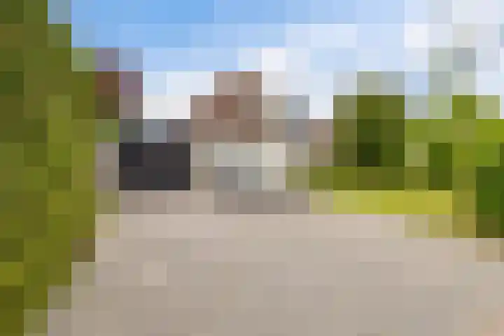 Hazzelnútstrjitte 1 Stiens thumbnail 6
