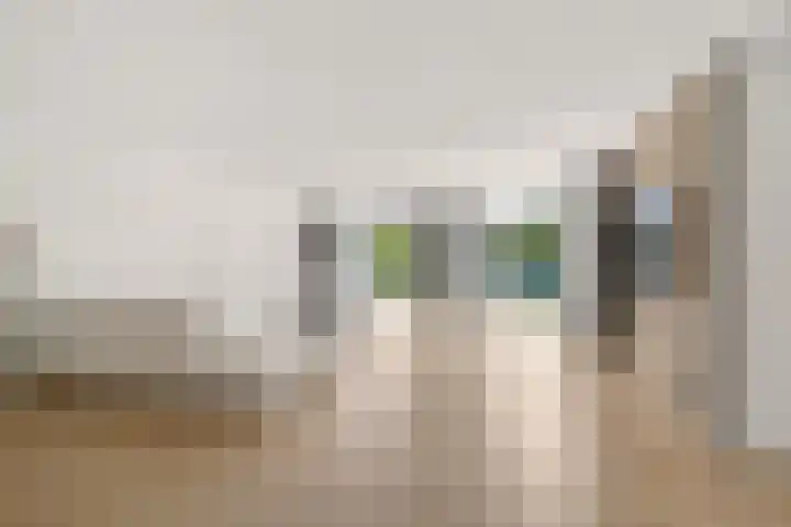 Hazzelnútstrjitte 1 Stiens thumbnail 8