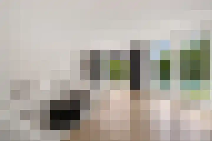 Hazzelnútstrjitte 1 Stiens thumbnail 9
