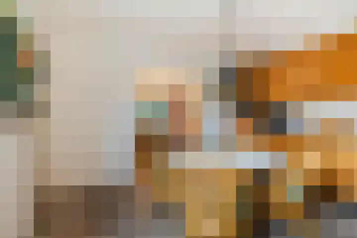 Hazzelnútstrjitte 15 Stiens thumbnail 10
